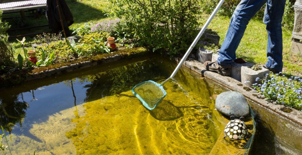 How to Use a Shop Vac to Clean a Pond (9 Simple Steps) • ThreeTwoHome