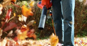 Man blowing autumn leaves in his yard