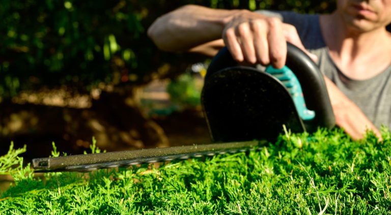 The Best Hedge Trimmer for Thick Branches in 2026