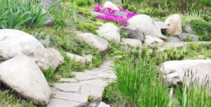 Beautiful rock landscape with flowers and greenery