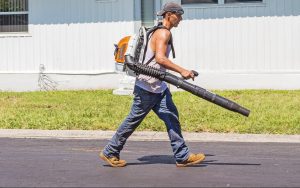 Best Commercial Backpack Leaf Blower