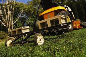 Dethatcher Attachment For Lawn Mower reviews