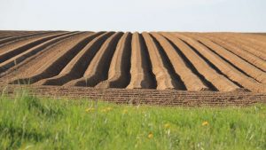 row maker for tractor